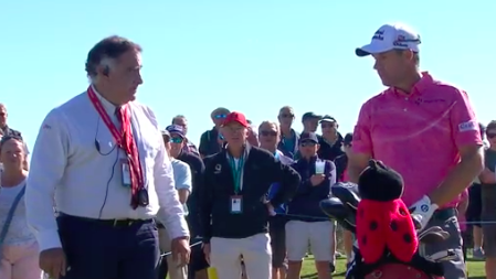 Padraig Harrington involved in BIZARRE insect ruling on European Tour